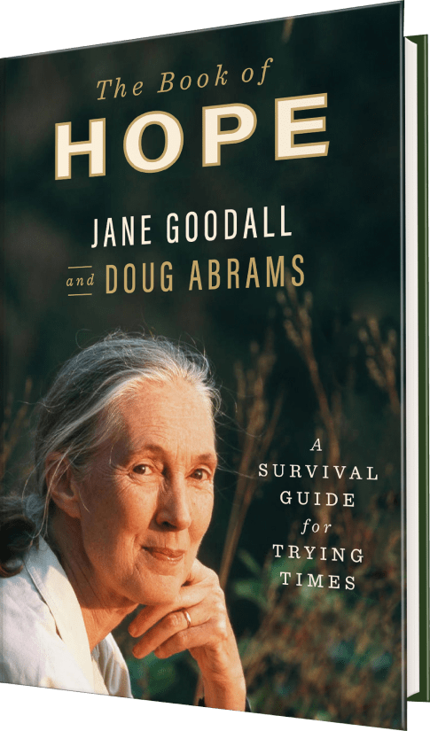Here’s the latest book by author Jane Goodall
