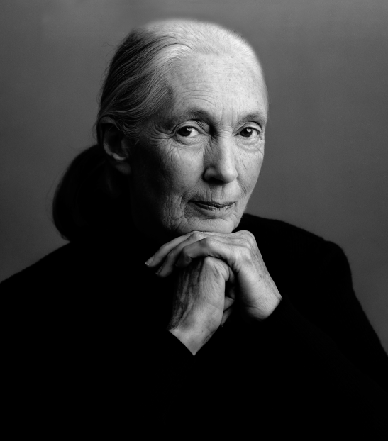 You can book Jane Goodall